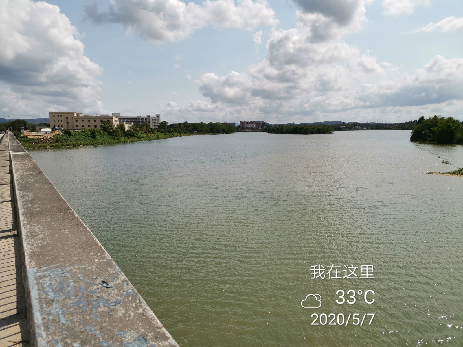 水浮蓮6_meitu_14.jpg