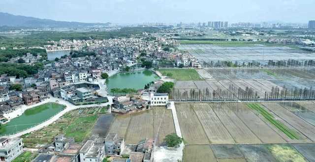 從長沙街道西溪村上空俯瞰，遠處青山疊翠、高樓聳立，近處屋舍儼然，池塘星羅棋布，農(nóng)田成方連片