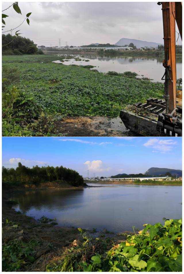 鎮(zhèn)海水沙塘鎮(zhèn)臺洞村蜆崗嶺河段清漂前后對比