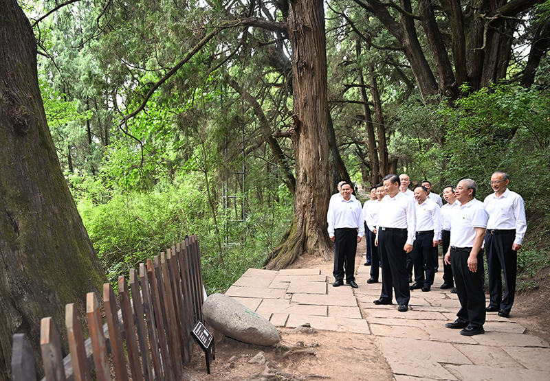 7月25日至27日，中共中央總書記、國家主席、中央軍委主席習近平在四川考察。這是25日下午，習近平在廣元市劍閣縣翠云廊考察。