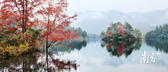 梅州蕉嶺縣鄉(xiāng)村秋色  